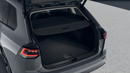 Bild eines Golf Variant Business TSI