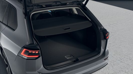 Bild eines Golf Variant Business TSI