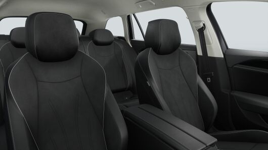 Bild eines Passat Variant Business TDI DSG