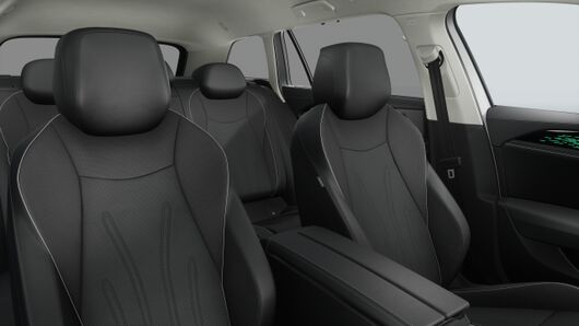 Bild eines Passat Variant Elegance TDI DSG