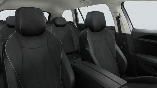 Bild eines Passat Variant Business TDI 4MOTION DSG
