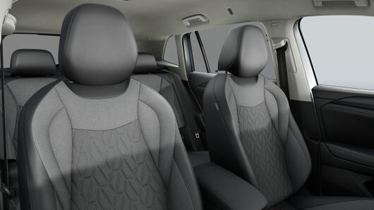 Bild eines Tiguan Friends eTSI DSG