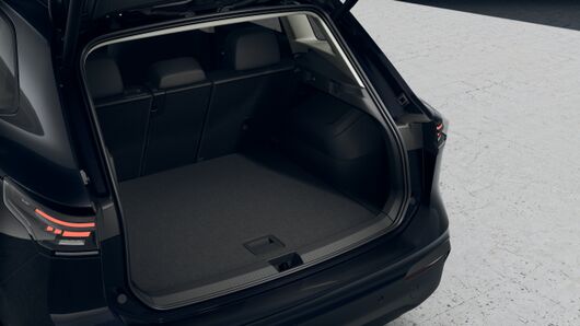 Bild eines Tiguan Friends eTSI DSG