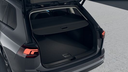 Bild eines Golf Variant Business mHeV DSG