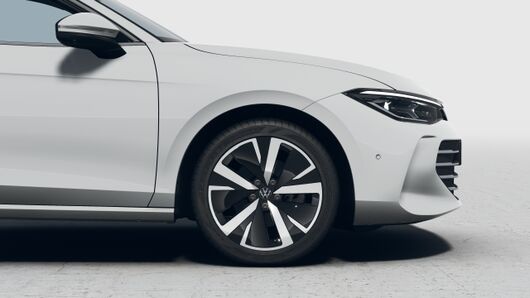 Bild eines Passat Variant Business TDI DSG