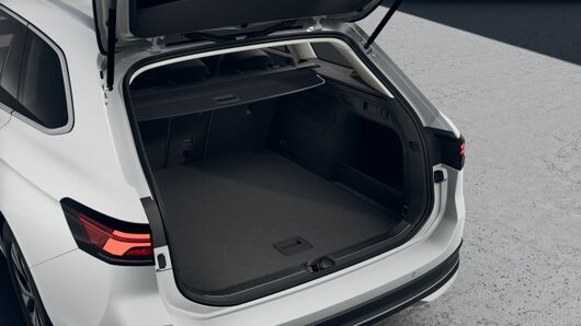 Bild eines Passat Variant Business TDI DSG