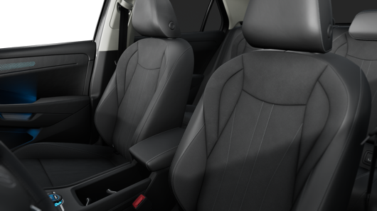 Bild eines T-Roc Style eTSI DSG