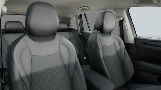 Bild eines Tiguan Friends eTSI DSG
