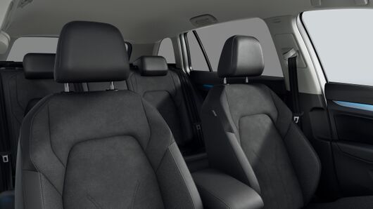 Bild eines Golf Variant Business mHeV TSI DSG