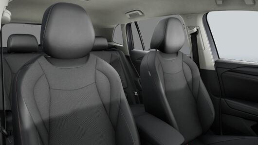Bild eines Tiguan Friends eTSI DSG