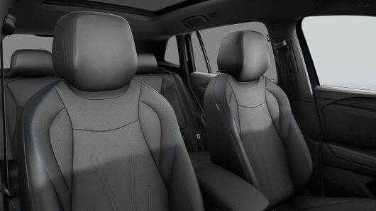 Bild eines Tiguan R-Line TDI 4MOTION DSG