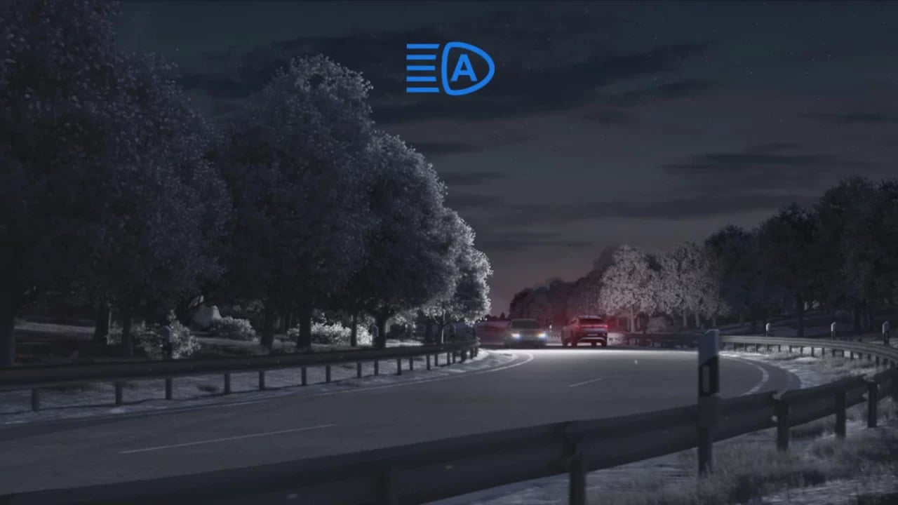 Licht und Sicht Paket inkl. Light Assist