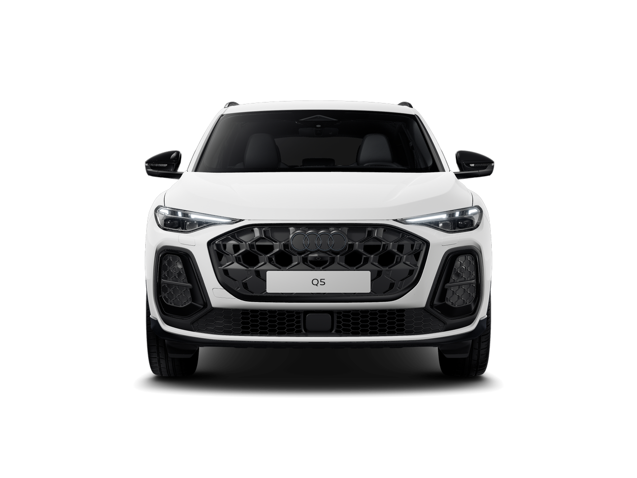 Изображение на Audi Q5 150 kW TDI quattro