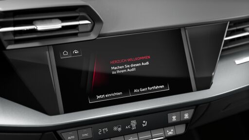 Audi hold assist