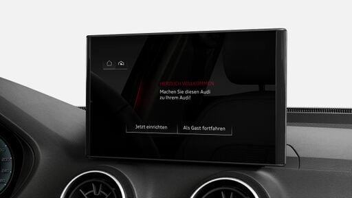 Audi connect Navigation & Infotainment