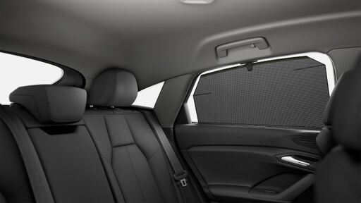 Щори на задните врати