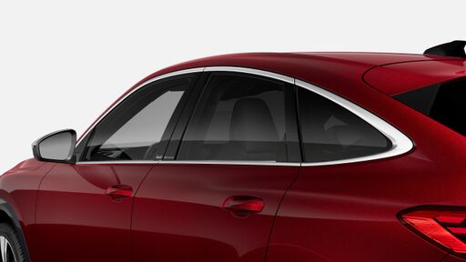 Задно и странични стъкла - затъмнени