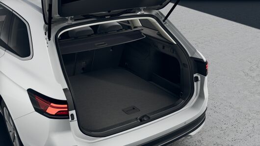 Изображение на Passat 9 Business 2.0 TSI DSG