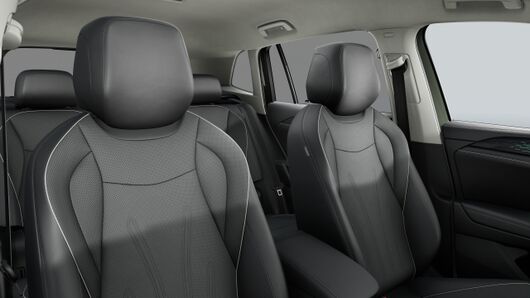 Изображение на Tiguan Elegance 2.0 TSI OPF 4MOTION DSG