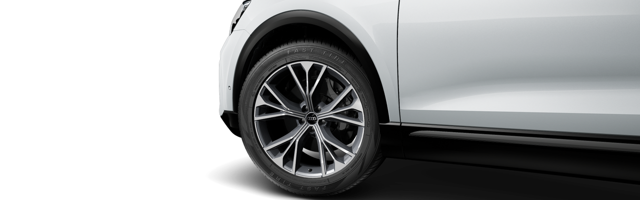 Imagen de un Q8 PI 55 TFSI
