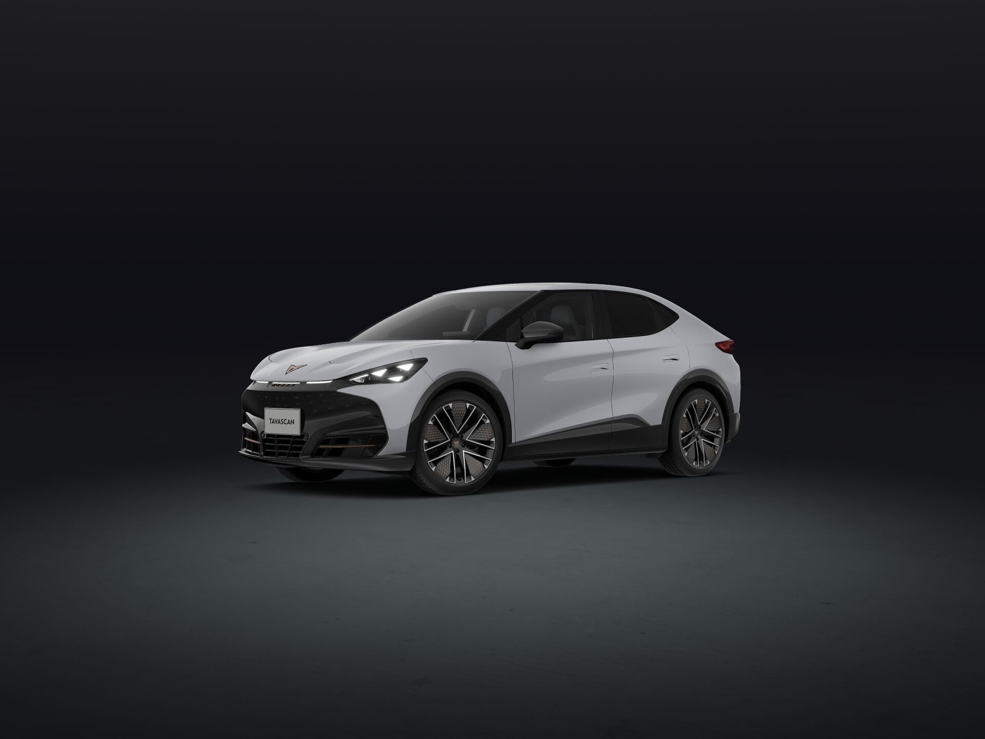 Imagen de un Tavascan Extreme 82 kWh