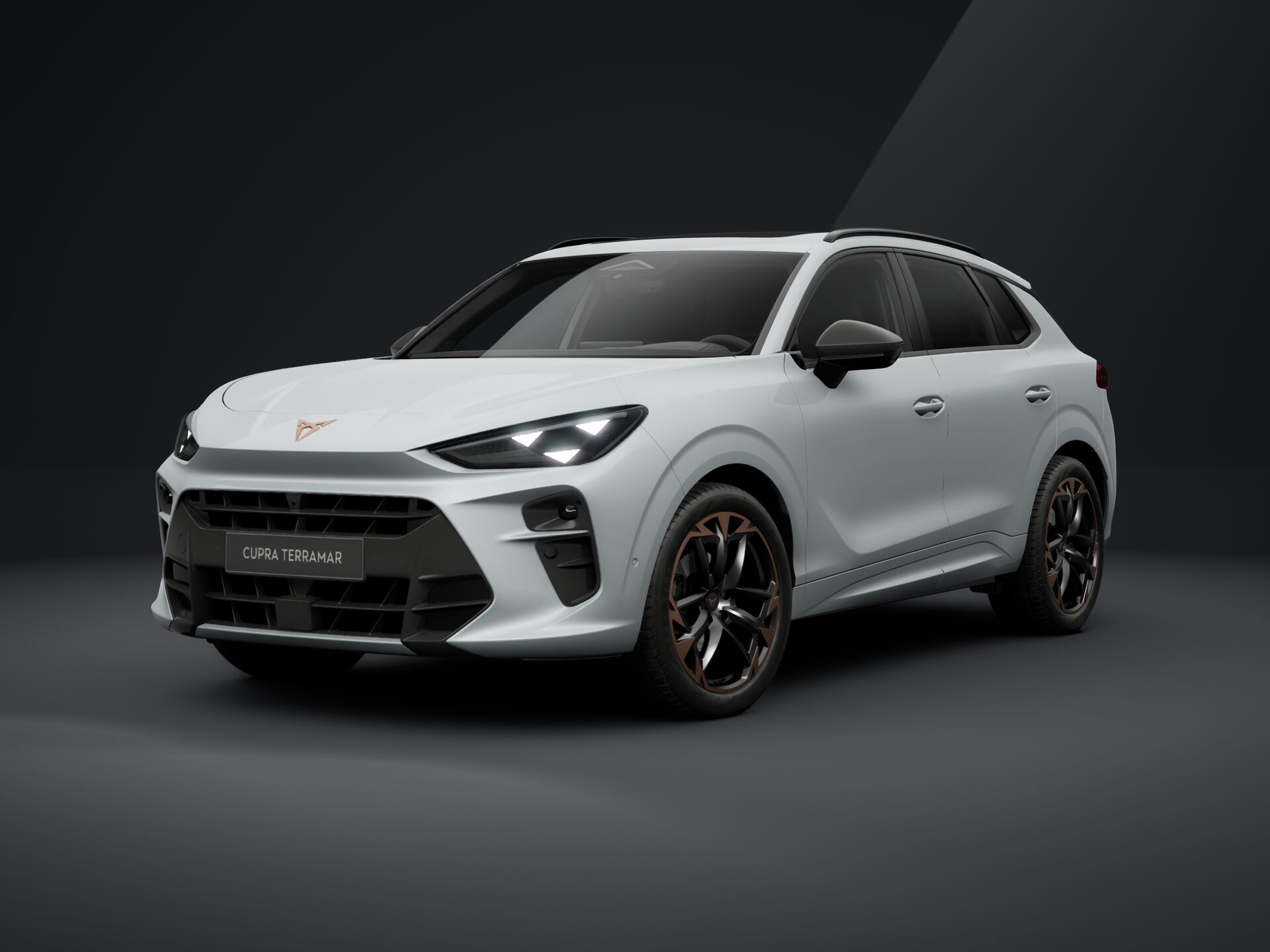 Imagen de un Terramar High 1.5 TSI mHEV AT
