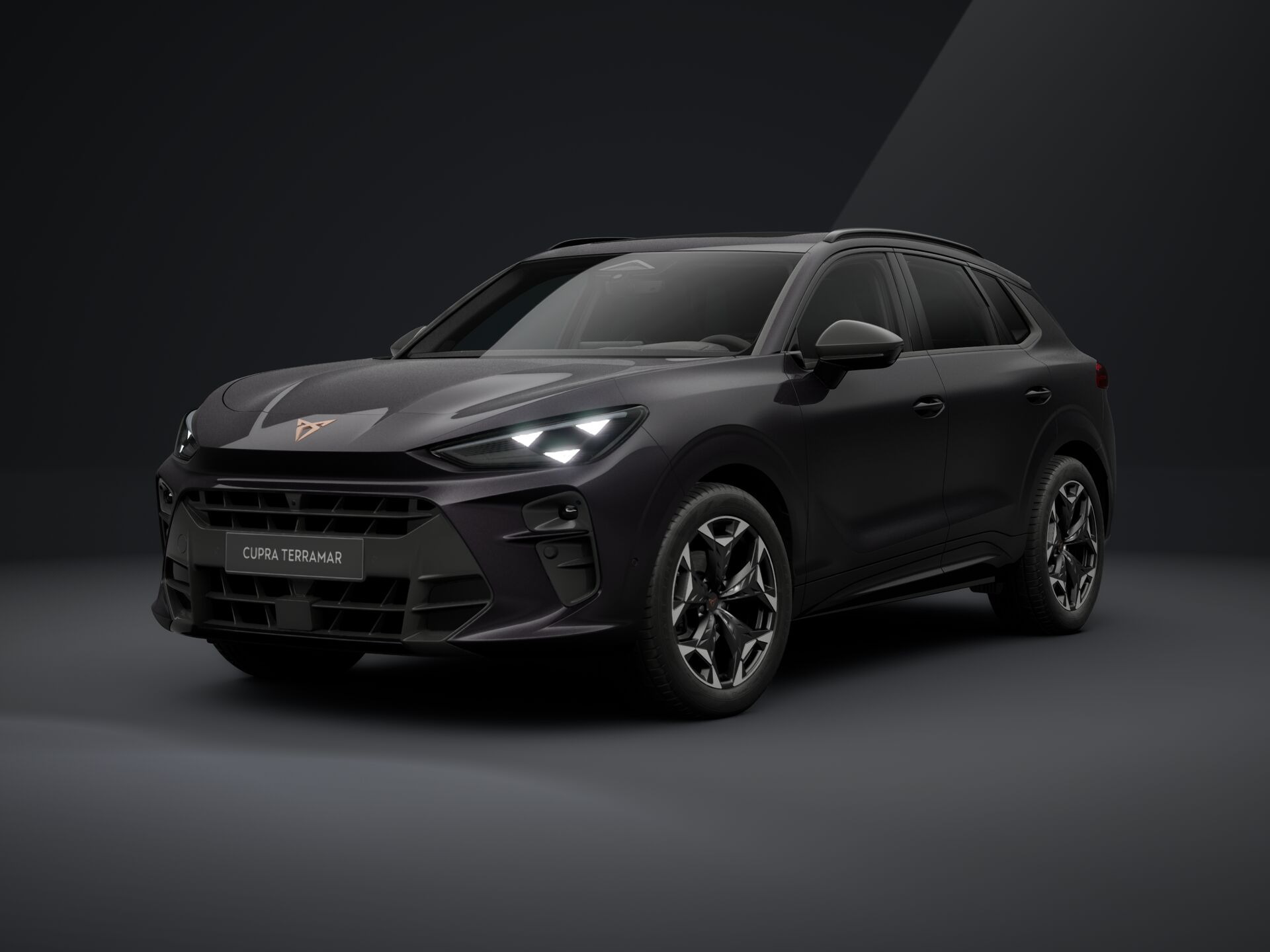 Imagen de un Terramar 1.5 TSI mHEV AT