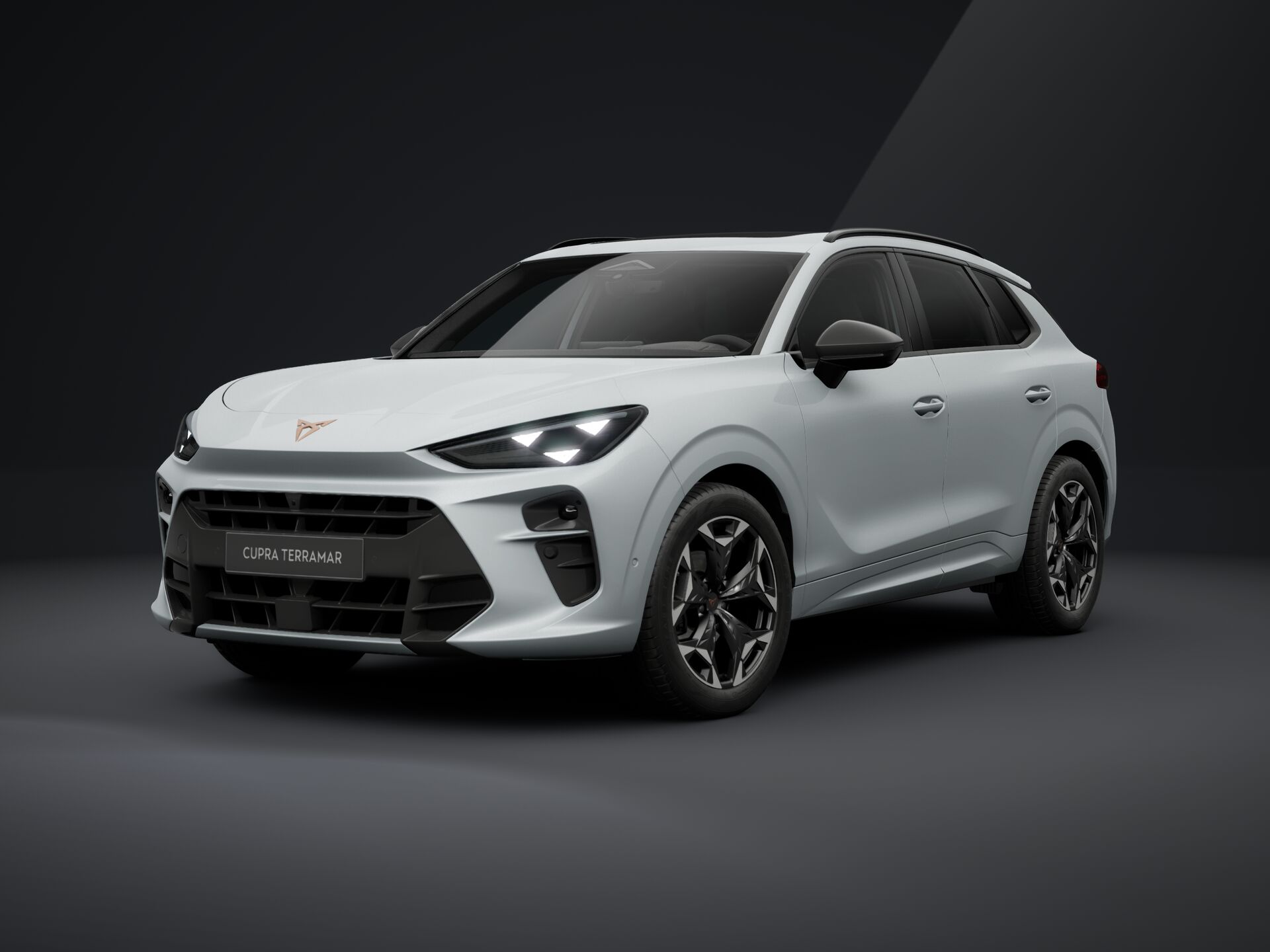 Imagen de un Terramar 1.5 TSI mHEV AT