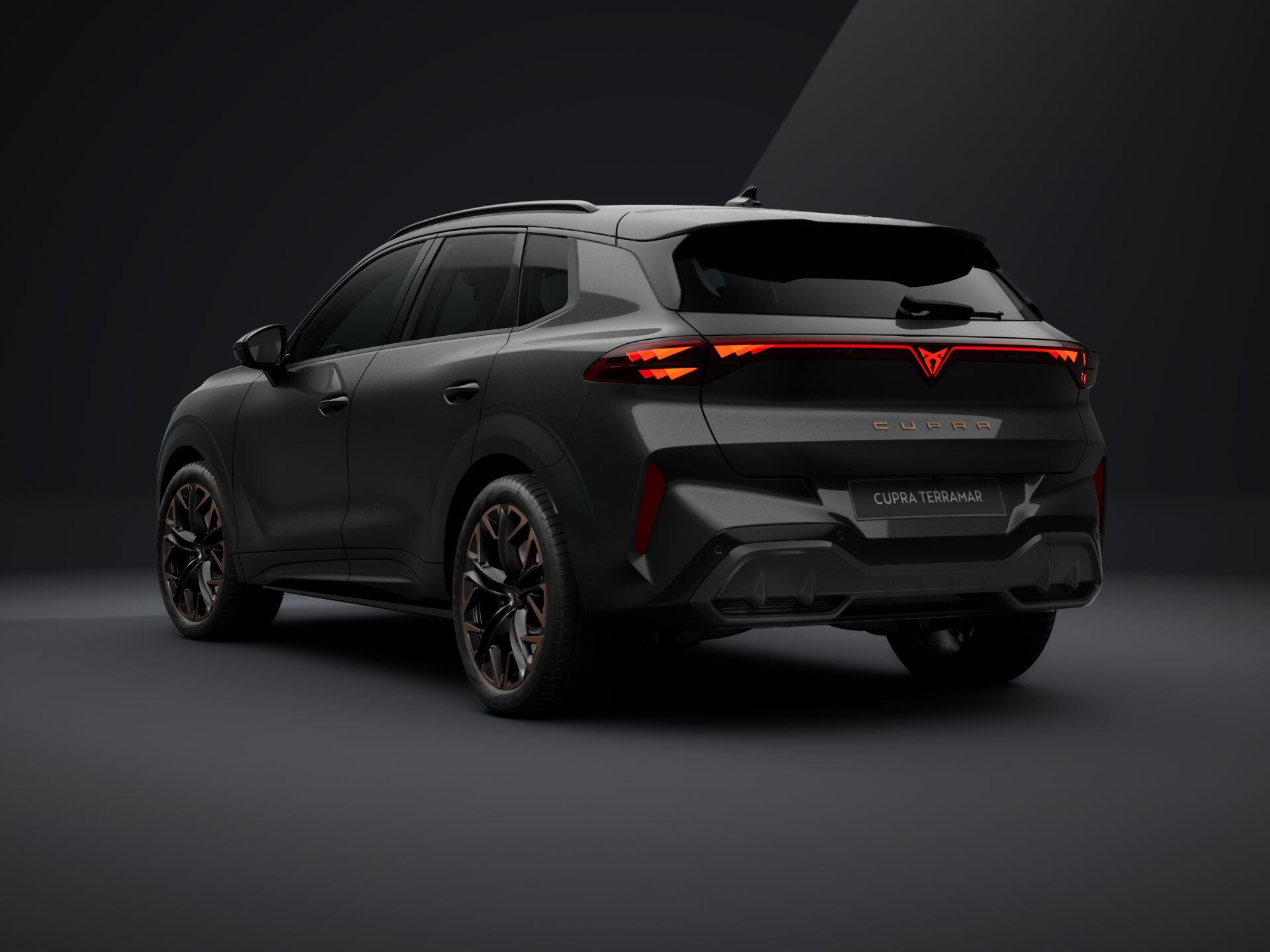 Imagen de un Terramar VZ 2.0 TSI AT