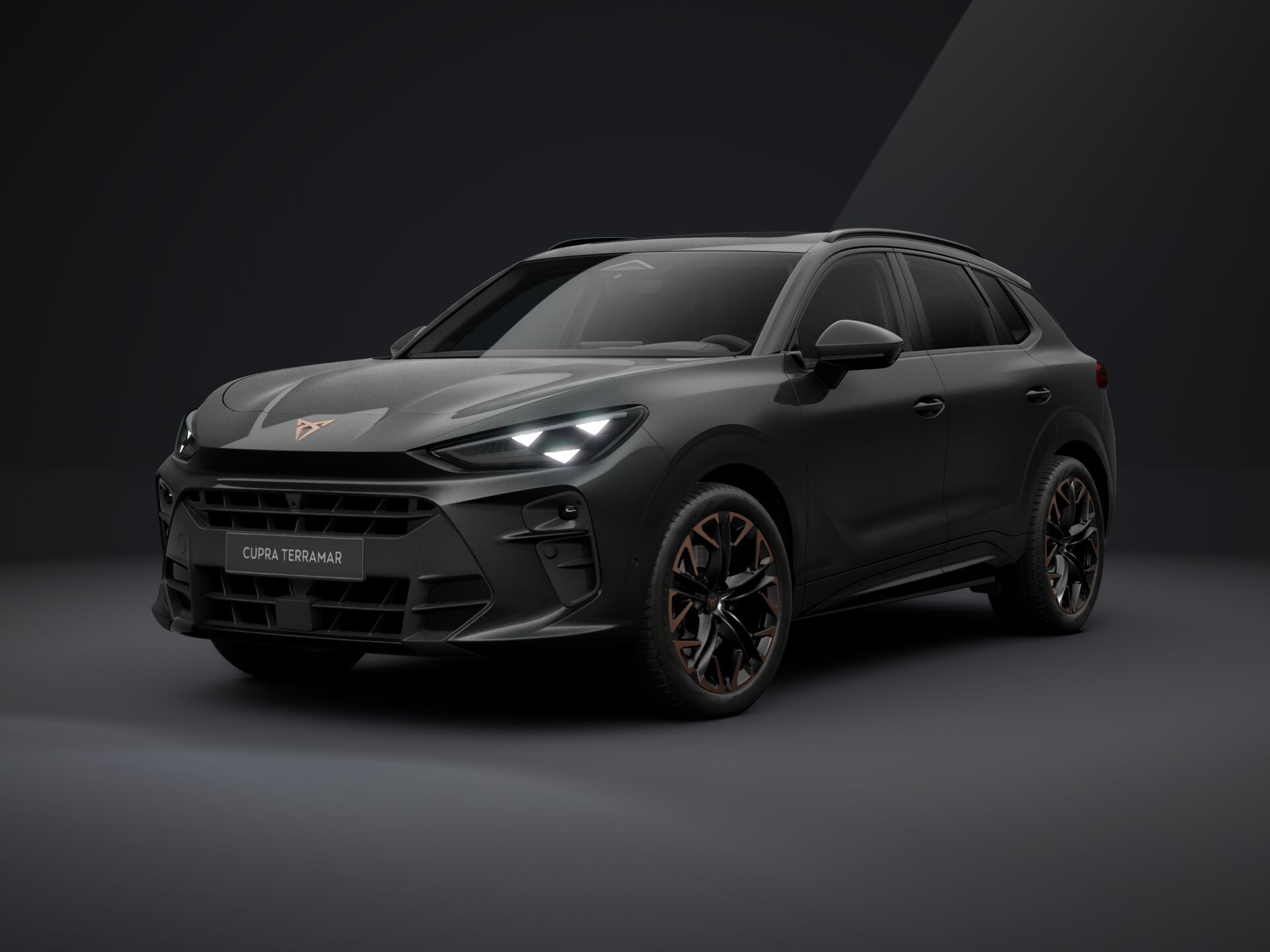 Imagen de un Terramar VZ 2.0 TSI AT