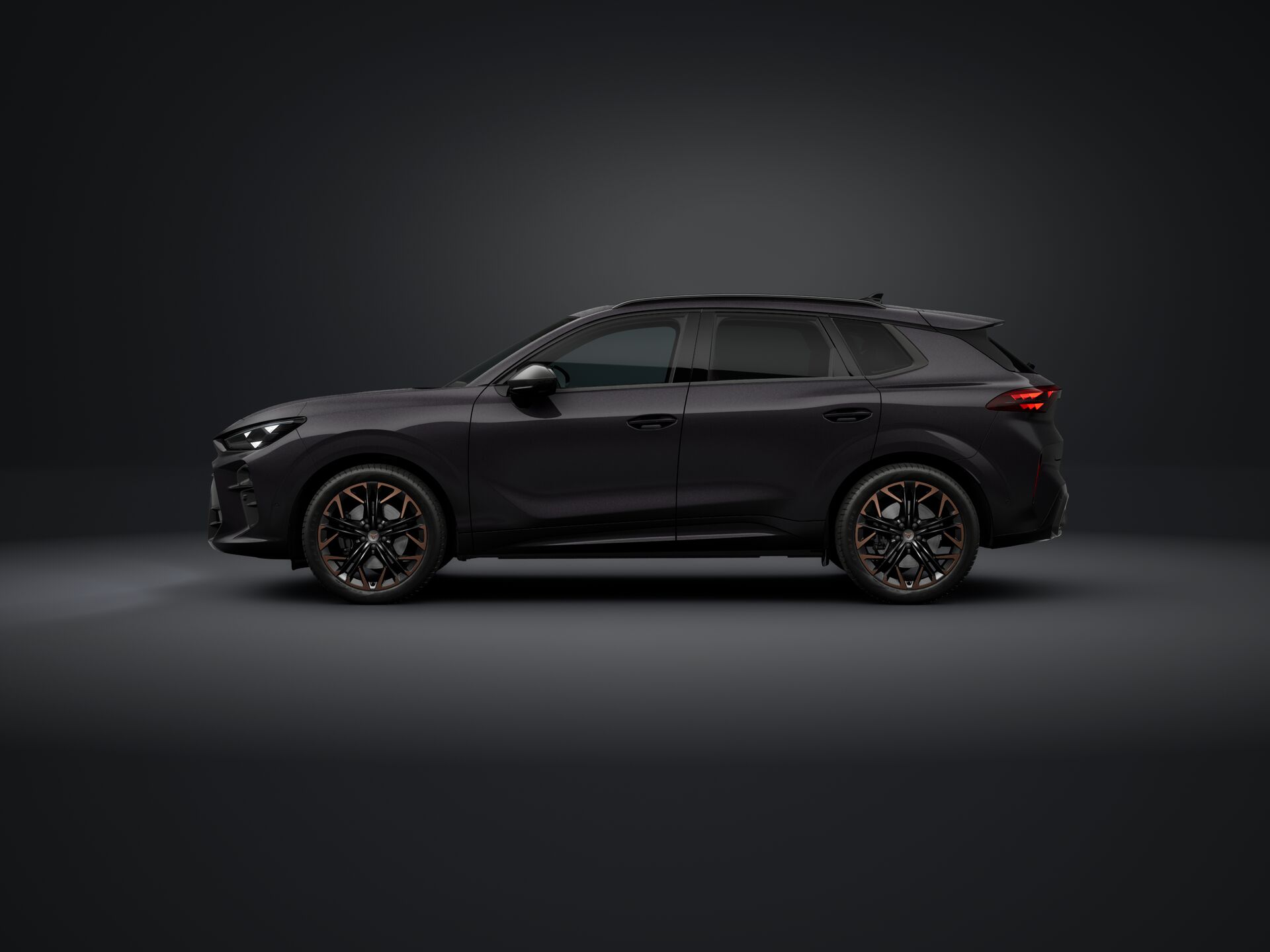 Imagen de un Terramar VZ 2.0 TSI AT