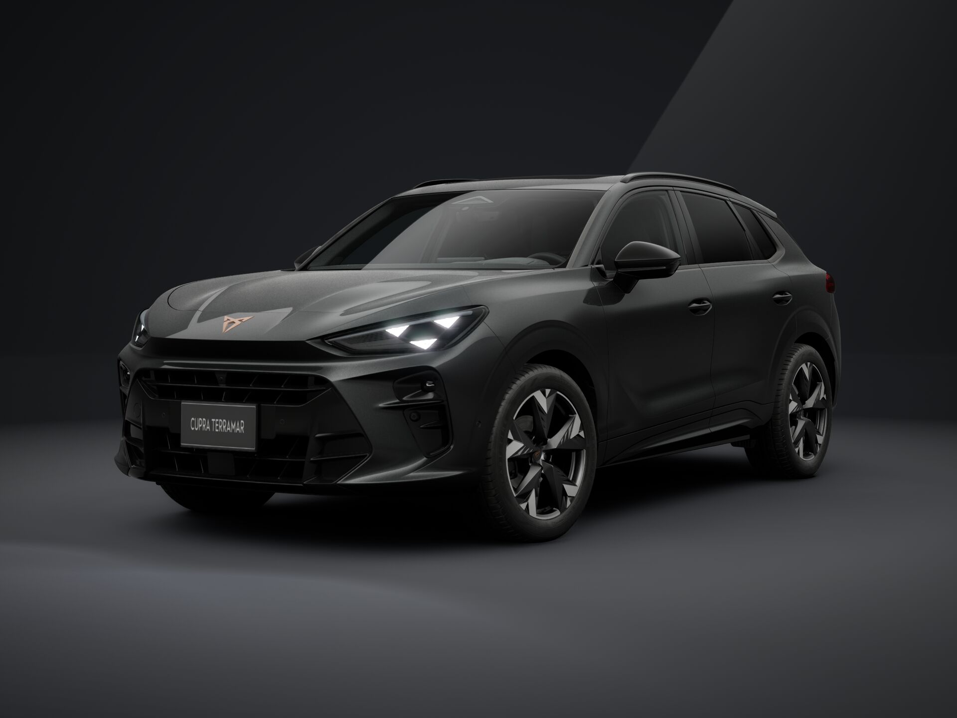 Imagen de un Terramar MHEV 1.5 eTSI  Dynamic