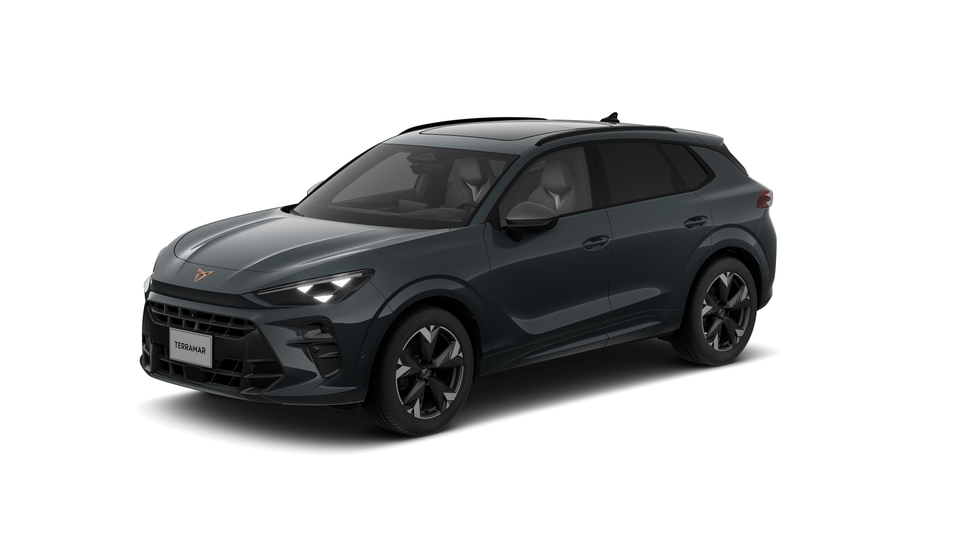 Imagen de un Terramar