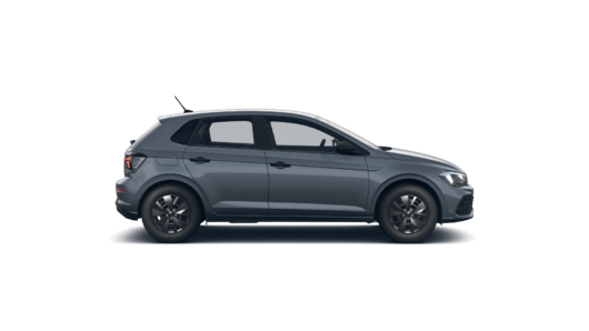 Imagen de un Polo PA Track 1.6L MT