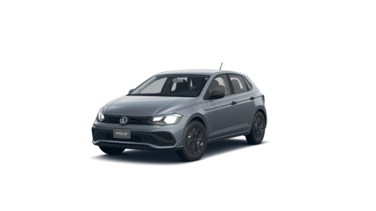 Imagen de un Polo PA Track 1.6L MT