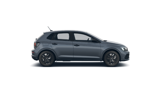 Imagen de un Polo PA Track 1.6L MT