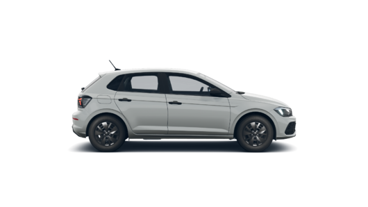 Imagen de un Polo PA Track 1.6L MT
