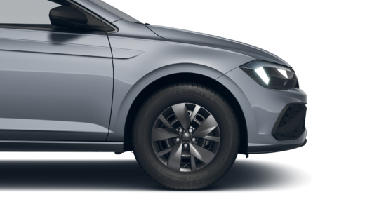 Imagen de un Polo PA Track 1.6L MT