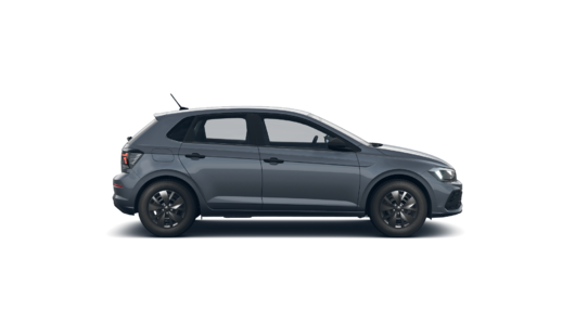 Imagen de un Polo PA Track 1.6L MT