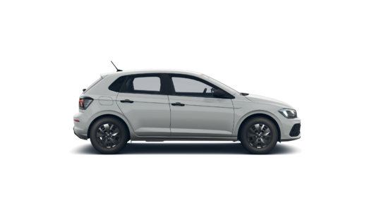 Imagen de un Polo PA Track 1.6L MT