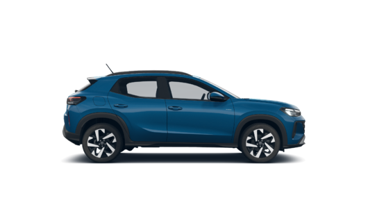 Imagen de un Tera High 1.0L AT