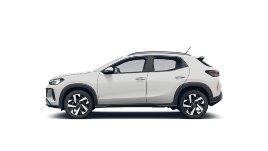 Imagen de un Tera High 1.0L AT