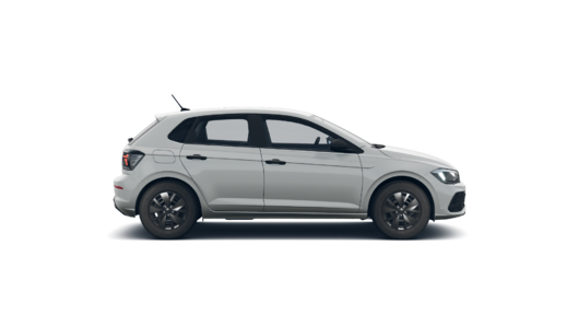 Imagen de un Polo PA Track 1.6L MT