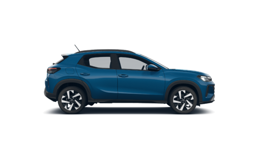 Imagen de un Tera High 1.0L AT