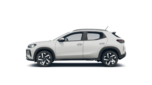 Imagen de un Tera High 1.0L AT