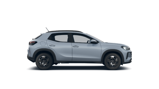 Imagen de un Tera Trend 1.6L  MT