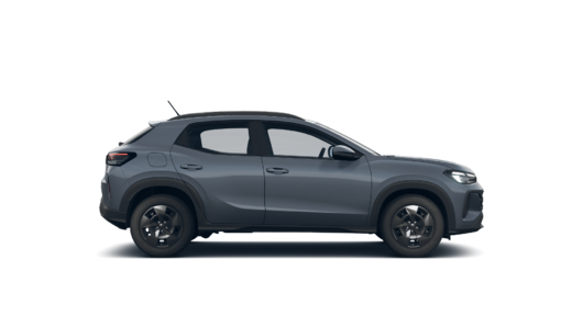 Imagen de un Tera Trend 1.6L MT