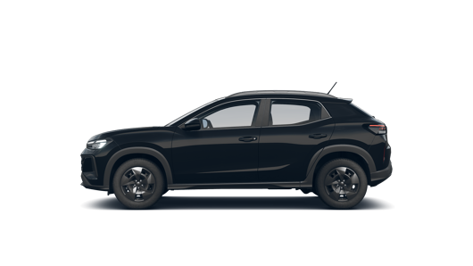 Imagen de un Tera Trend 1.6L MT