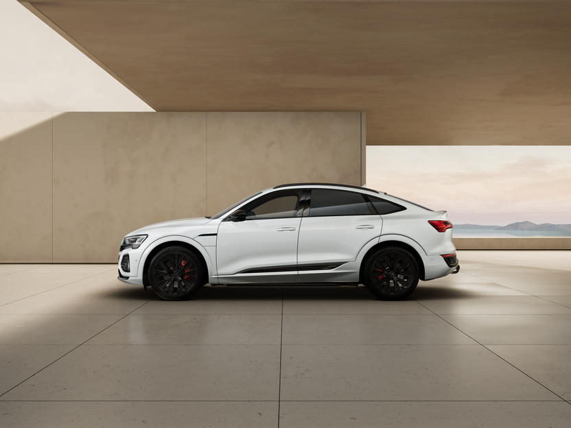 Obrázek Q8 Sportback S line 55 e-tron quattro