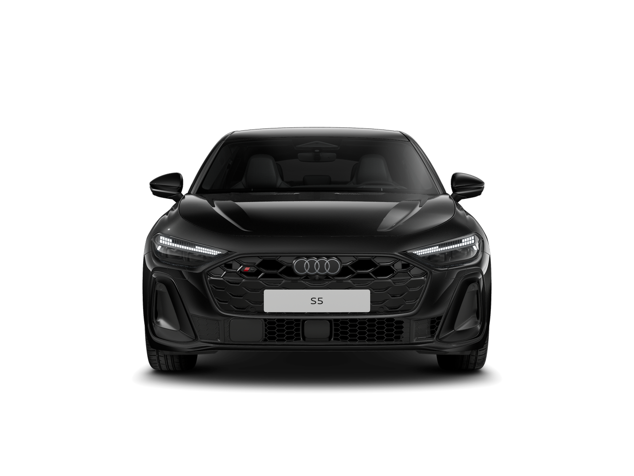 Obrázek S5 Limuzína TFSI quattro 270 kW